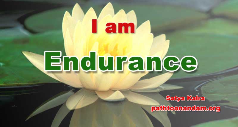 Endurance.jpg